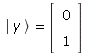 Ket(y) = Vector[column](%id = 18446744074371299438)