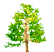 tree0.gif (2449 bytes)